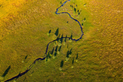 Drone angle view of meandering river in martimoaapa wetlands, finland