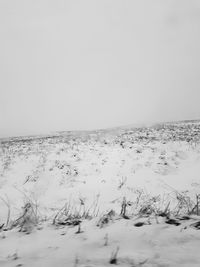 Scenic view of sea against clear sky during winter