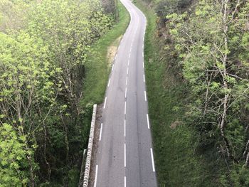 Road amidst trees in forest