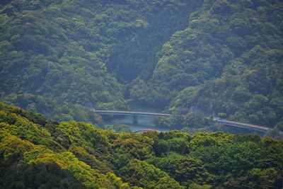 Scenic view of forest with bridge