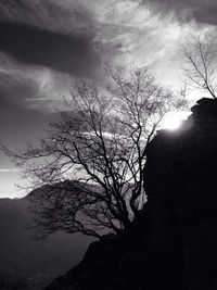 Bare trees against sky at sunset