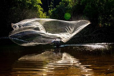 Leaf in a lake