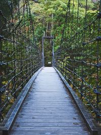 Narrow footbridge along trees in forest