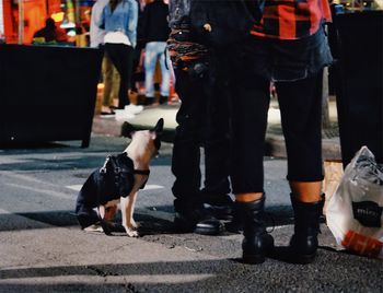 Low section of woman with dog standing on street