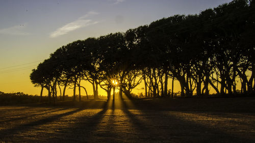 Silhouette trees on landscape against sky at sunset