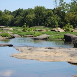 Scenic view of lake against trees
