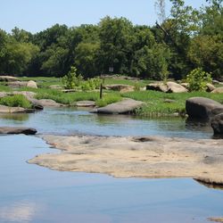 Scenic view of lake against trees