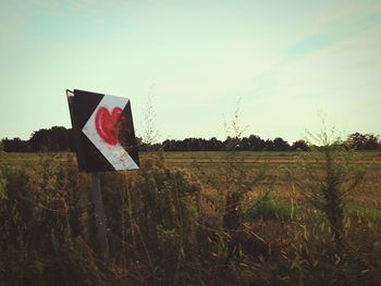 Trees on grassy field