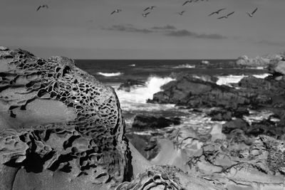 Close-up of rocks on beach against sky