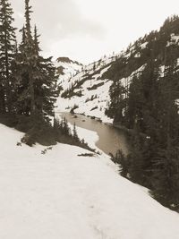 Pine trees on snowcapped mountains by lake against sky