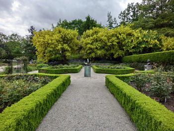 Footpath leading towards trees