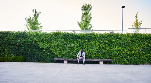 Rear view of man standing by tree against clear sky