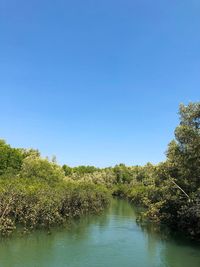 Scenic view of river against clear blue sky