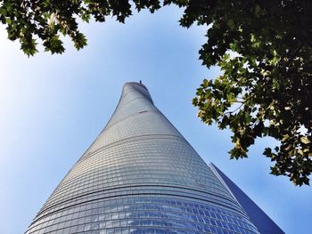 low angle view