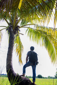 Rear view of man on palm tree against sky
