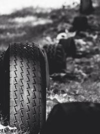 Close-up of plant against blurred background