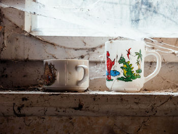 Close-up of potted plant against white wall