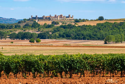 Skyline of little town of monteriggioni, tuscany, along via francigena