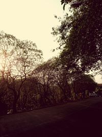 Silhouette trees by road against sky