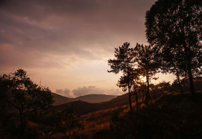 Silhouette trees on landscape against sky at sunset