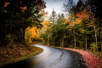 Road amidst trees during autumn