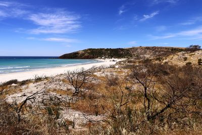 Scenic view of sea against sky