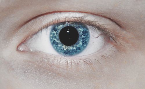 Close-up portrait of man eye