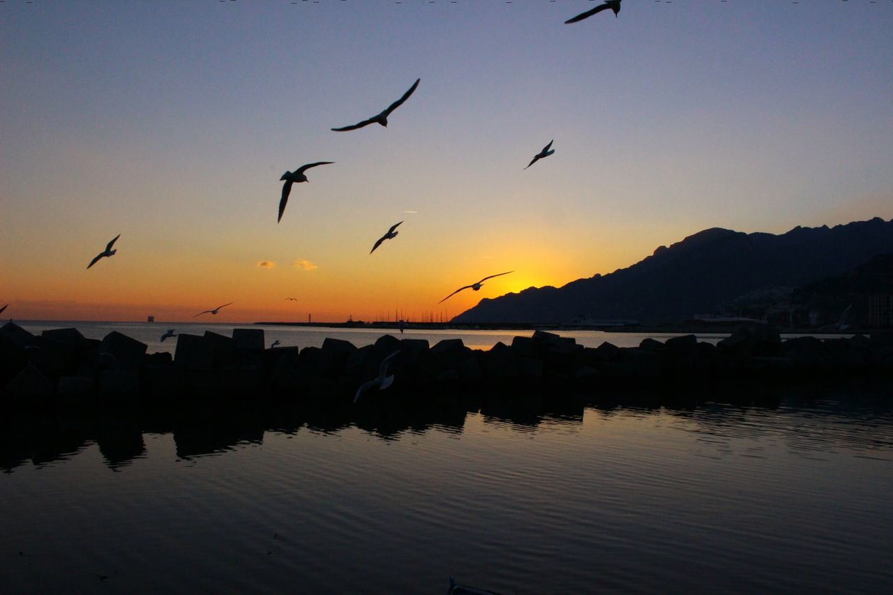 sunset, bird, silhouette, flying, animals in the wild, reflection, animal themes, beauty in nature, nature, water, sky, scenics, tranquil scene, flock of birds, tranquility, outdoors, animal wildlife, large group of animals, no people, lake, mid-air, spread wings, day