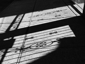 Shadow of tree on the wall