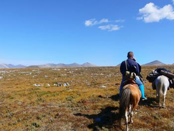 Rear view of people sitting on horses walking on field against blue sky