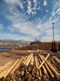 Stack of logs against sky