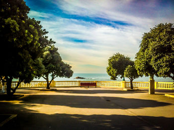 Road with trees in background