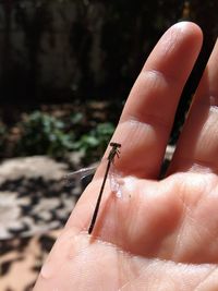 Close-up of human hand on finger