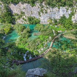 High angle view of river amidst trees