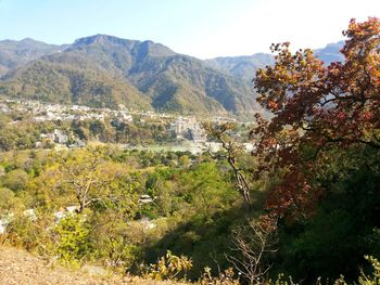 Low angle view of trees and mountains against sky