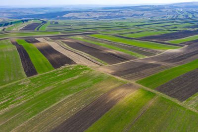 Aerial view of agricultural field