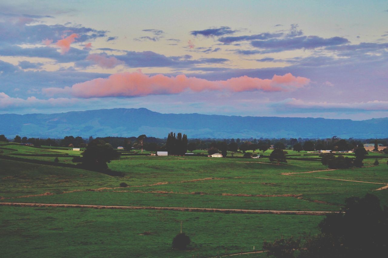 SCENIC VIEW OF FIELD AGAINST SKY AT SUNSET