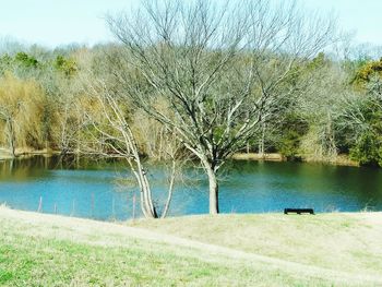 Scenic view of lake against trees