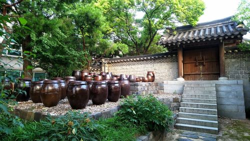 Potted plants outside building