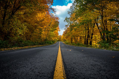 Surface level of road amidst trees during autumn