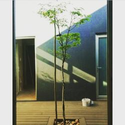 Building seen through glass window