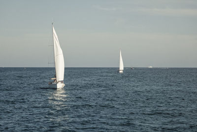 Sailboat sailing in sea against sky