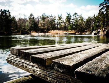 Reflection of trees in lake