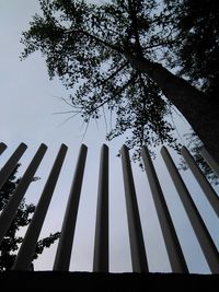 Low angle view of silhouette trees against sky