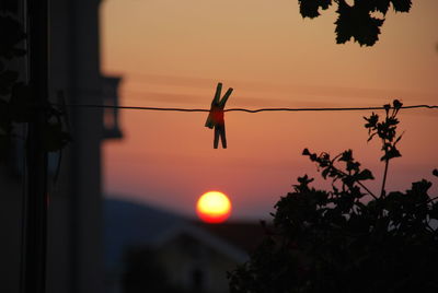 Close-up of silhouette hanging on tree against sky during sunset