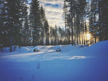 Trees on snow covered landscape against sky