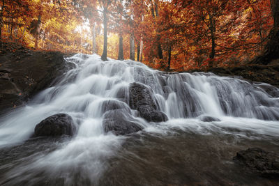 Scenic view of waterfall in forest during autumn