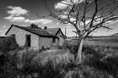 Bare tree by abandoned house against sky