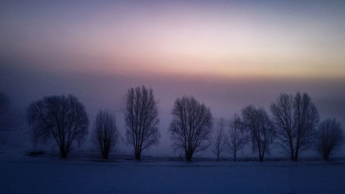 Bare trees on snow field against sky during sunset