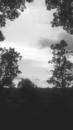 Silhouette trees on field against sky